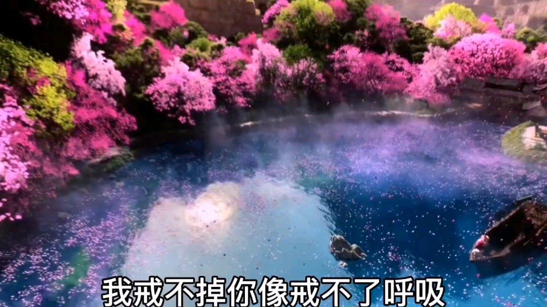小猫钓鱼游戏龙王版有船