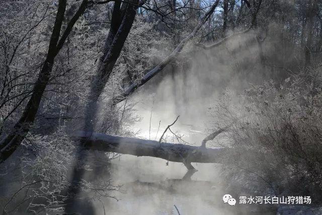 美味的甜品对对碰