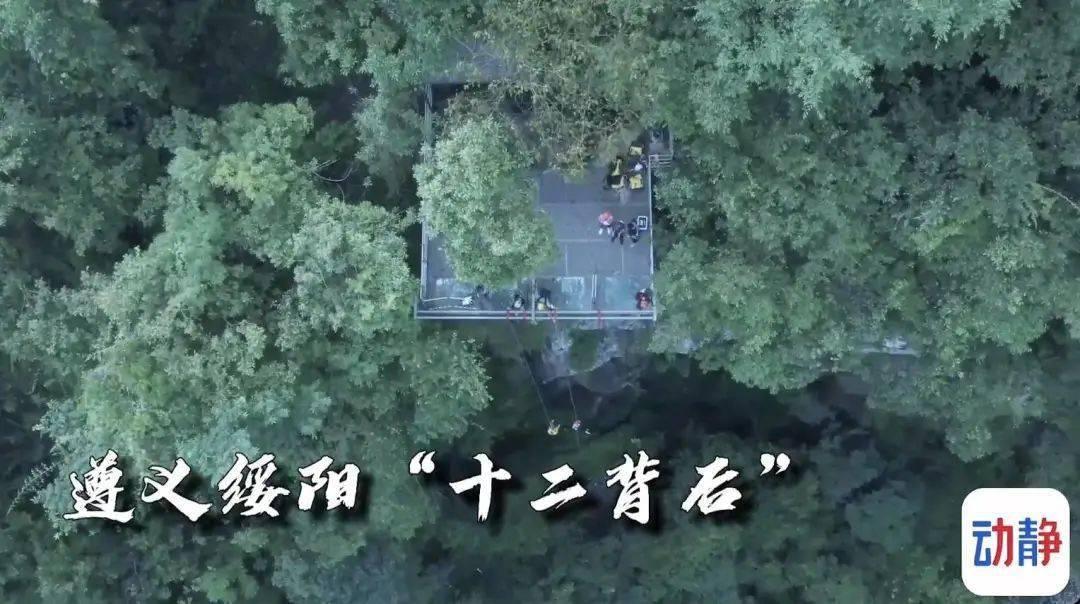 蓝狐视频