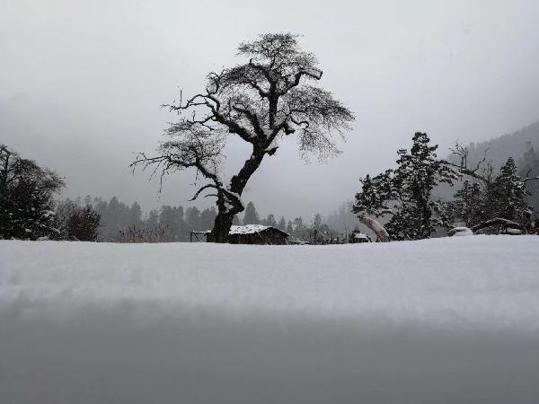 慈利、江永荣登中国气候宜居城市（县）