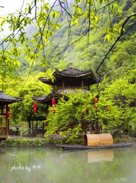 深入了解请问+妈妈忘了给孩子过生日怎么办?知识星球,专注分享与学习