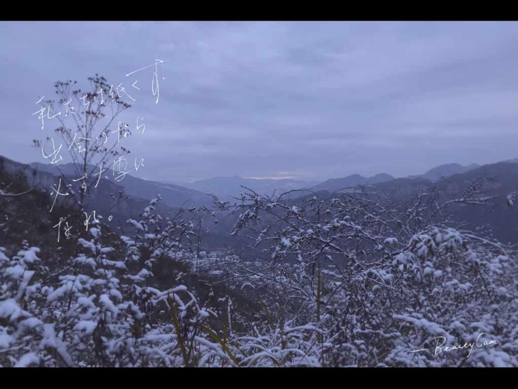 爱丽丝和他的伙伴正在金黄的沙滩上踢着足球他们显得十分快乐用英文怎么讲？游戏画面