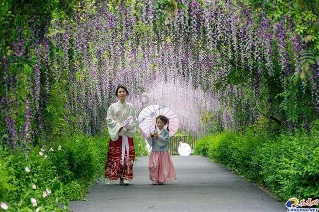 逃出漂亮花谷