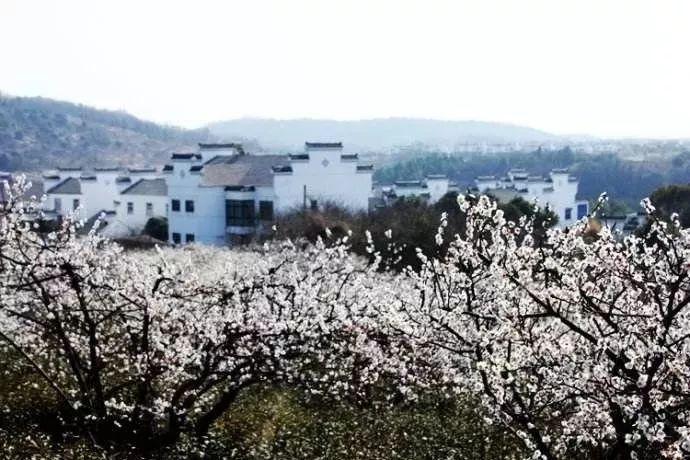 一面锦旗的背后,是“孝老之城”蕴藏的温度