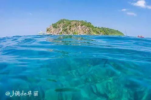 代表委员热议政府工作报告|李刚委员:企业要紧抓降碳措施落实
