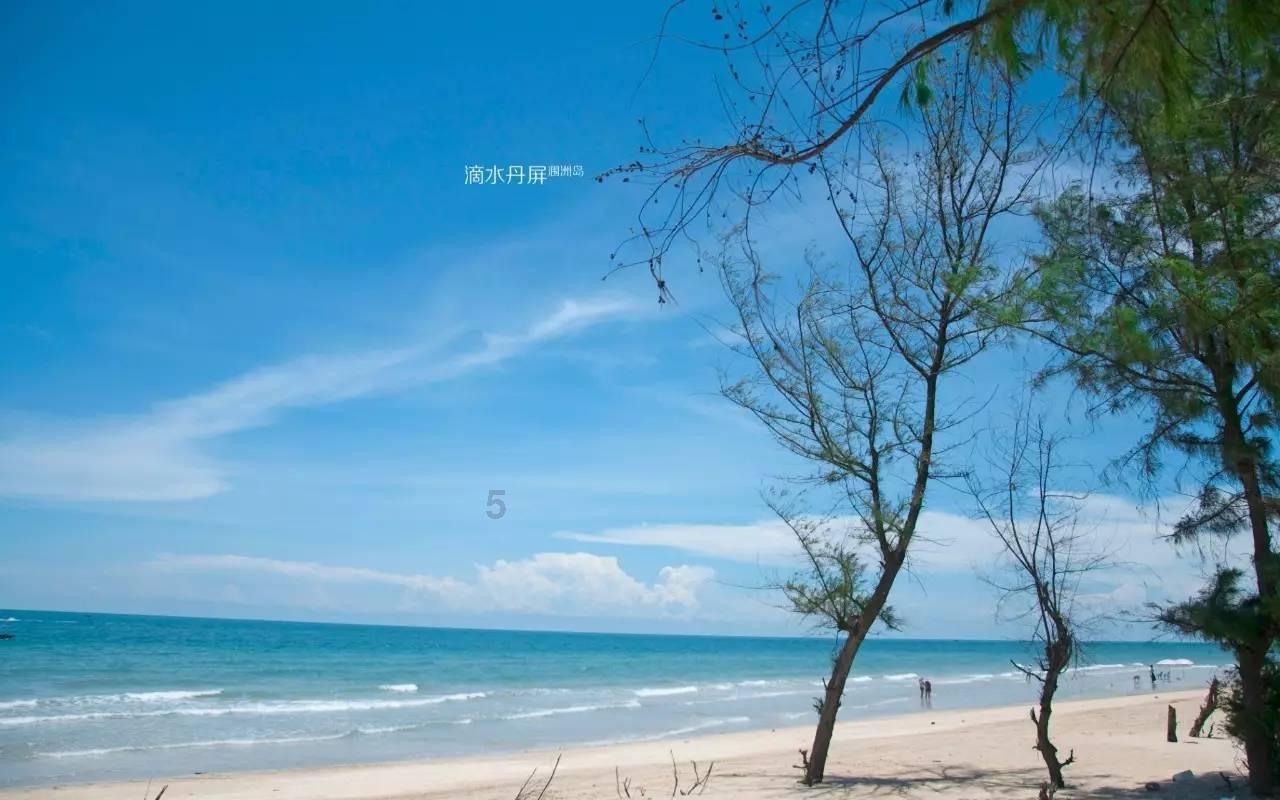 智力水滴