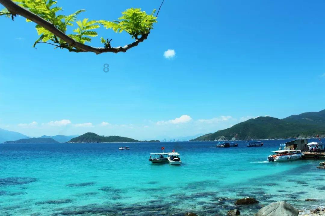 格斗巅峰大作战