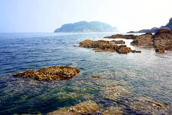 基米希谈输球:不莱梅比我们更渴望胜利,这种情况不能发生