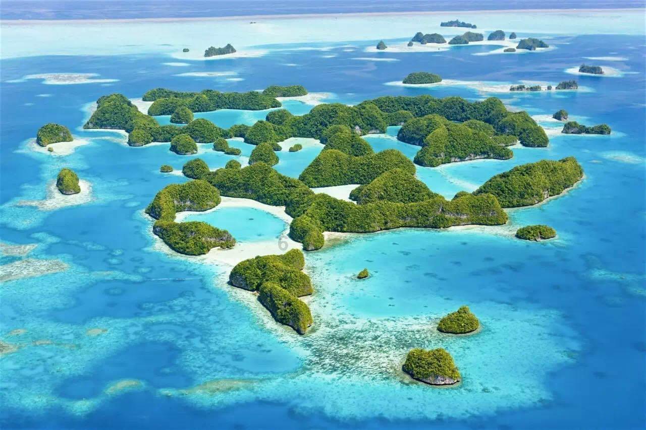 虫虫助手下载