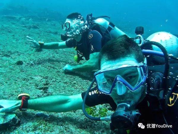 舞熊森林逃生