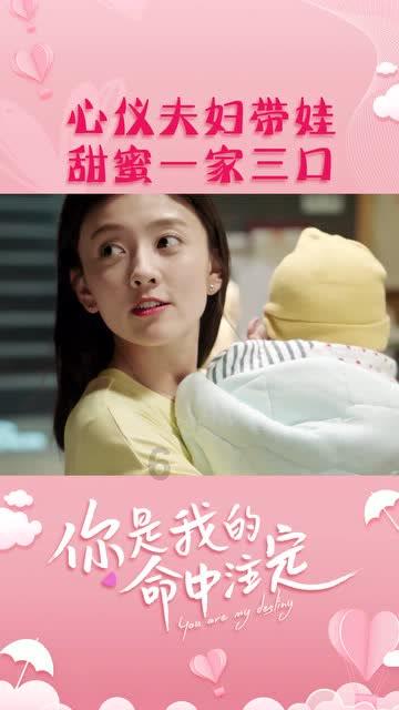 奥利维亚收养猫