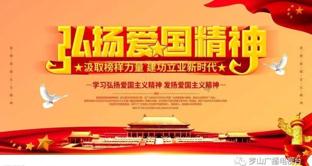 HOYEA华液比例阀放大板H-AP-204 双路