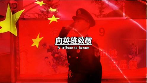 哈尼和她的宠物们
