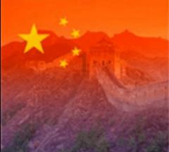 狐狸的旅程