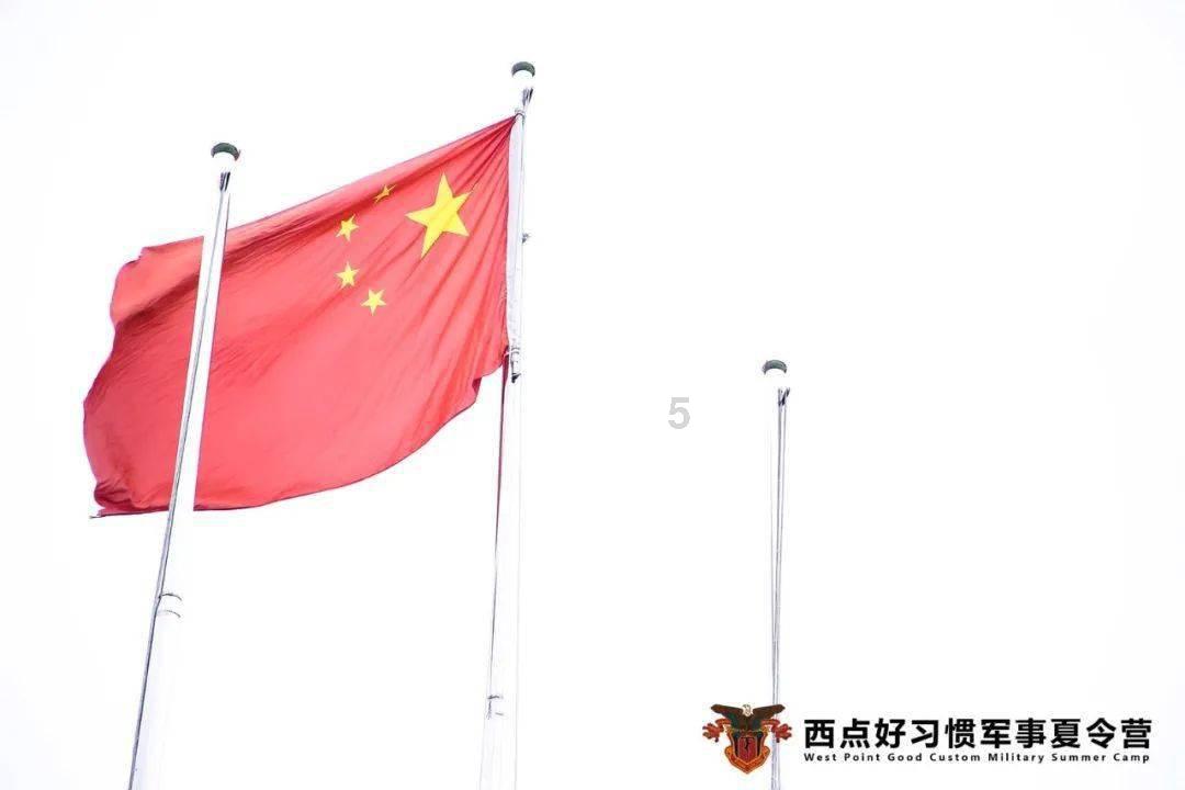 拯救精灵的土地6