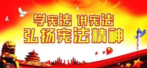 月光影视