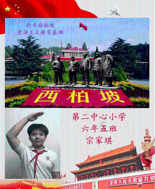 强大的狮子拼图