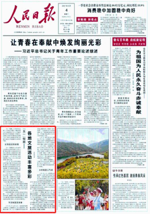 全民烧脑3去广告版