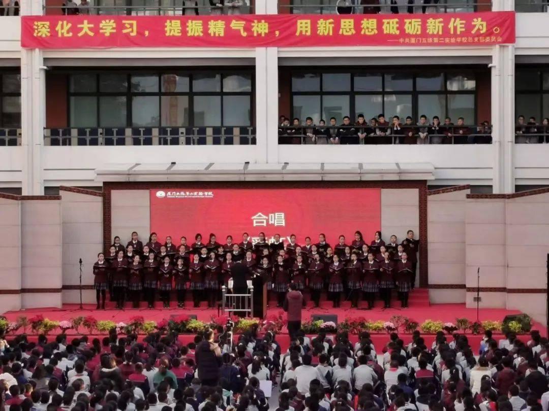创作猫