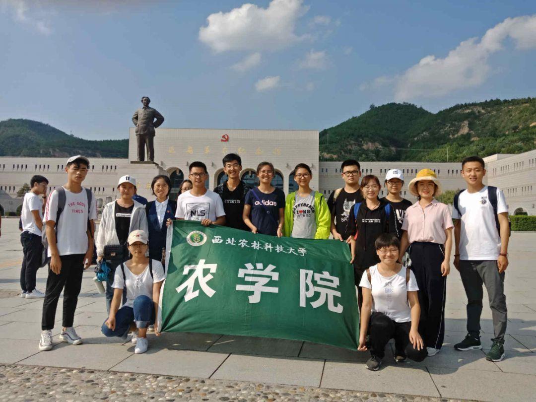 异形：隔离