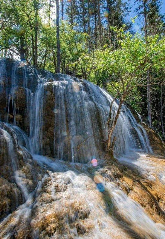 郭晶晶：拒绝香港“阔太圈”三重背景站稳霍家首席儿媳连生三胎