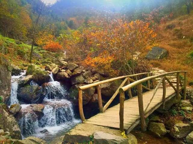 贪玩蓝月
