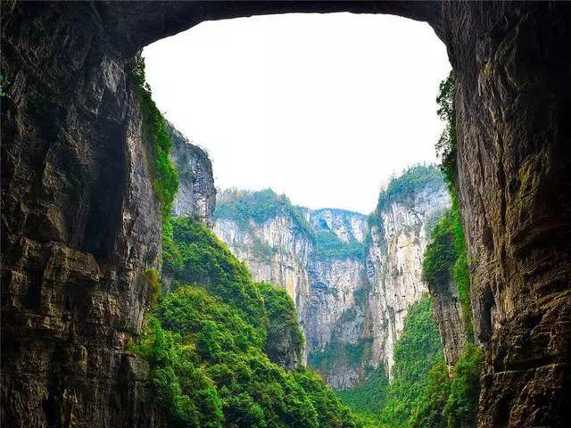 逃离医生的家