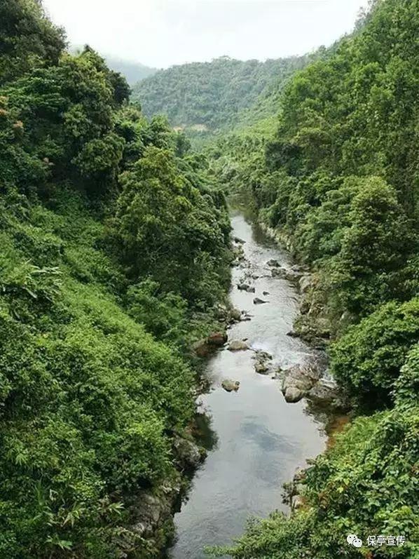 烘培蛋糕记忆卡