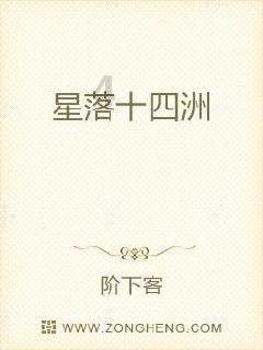 疯狂的小偷