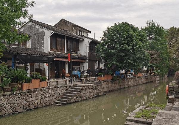 逃离橡子树种植地