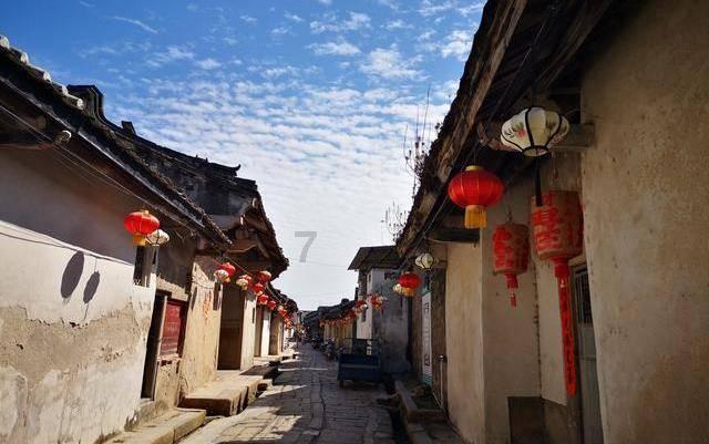 “小动保”为与猴共处的2只猫体检:都是公猫没怀孕,被欺负不敢反抗
