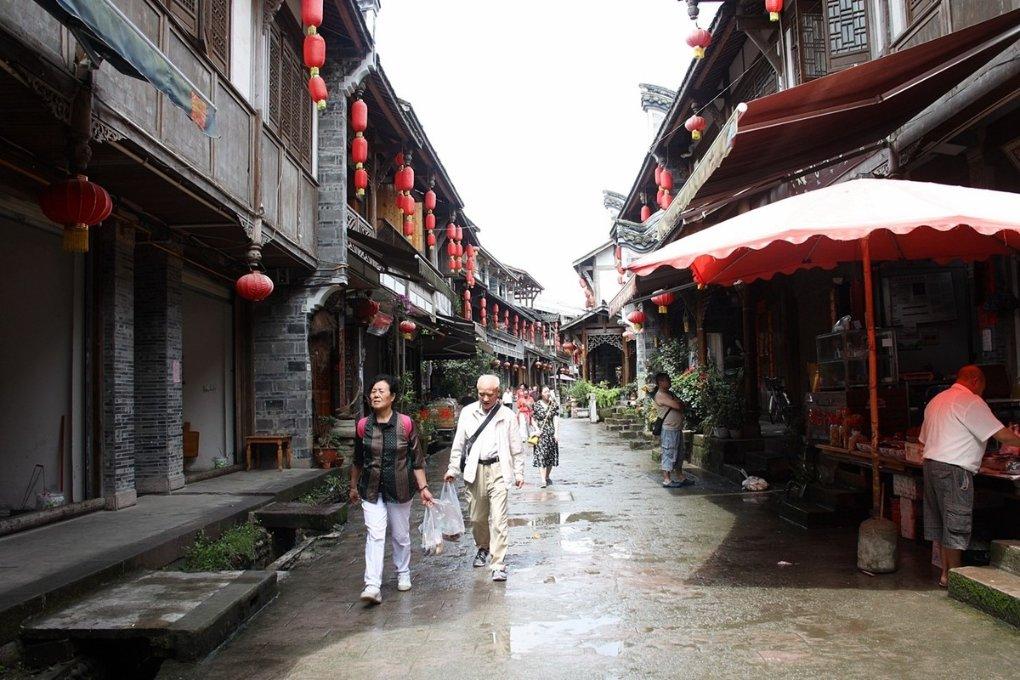 动物帮帮忙保卫家园