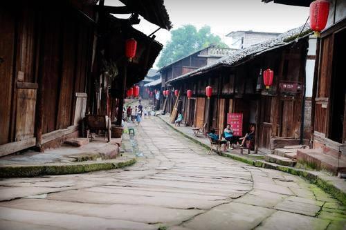 探索高启强老婆怎么死的,发现新知识之旅
