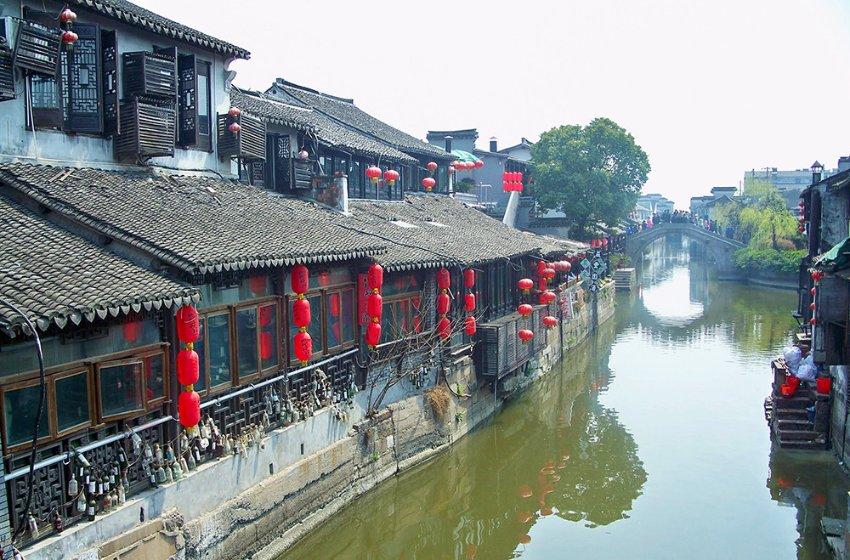 请问这是什么植物？游戏画面