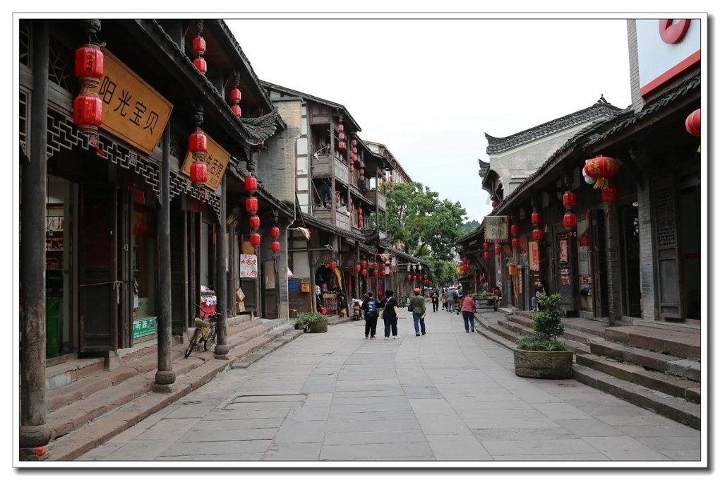 忍者鲨鱼